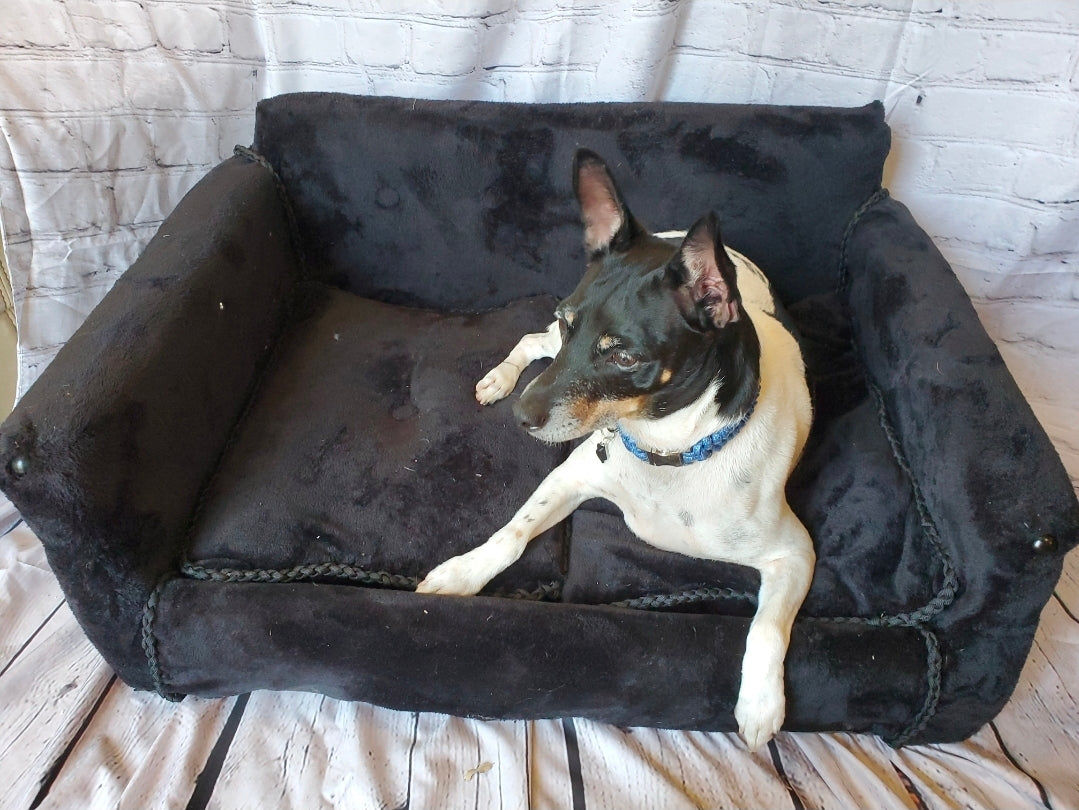 Luxury pet sofa, luxury dog couch, luxury pet furniture