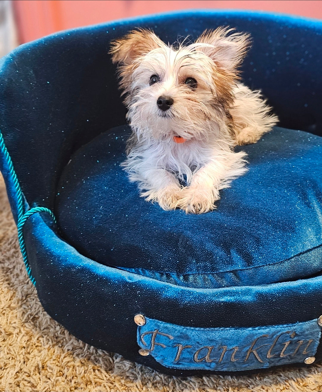 Personalized embroidered glitter round pet bed, custom dog bed
