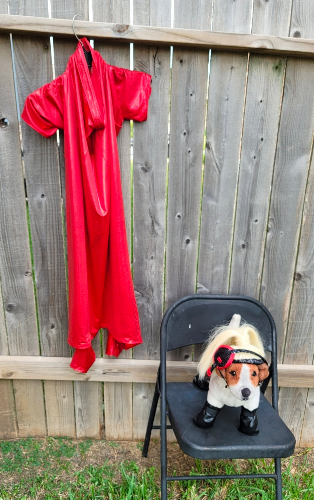 Pop Singer Britney Pet costume, Oops I did again pet costume, Britney Spears inspired pet costume