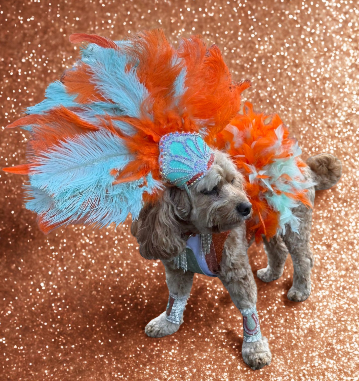 Showgirl pet costume, Life of showpet costume, feather showgirl pet costume