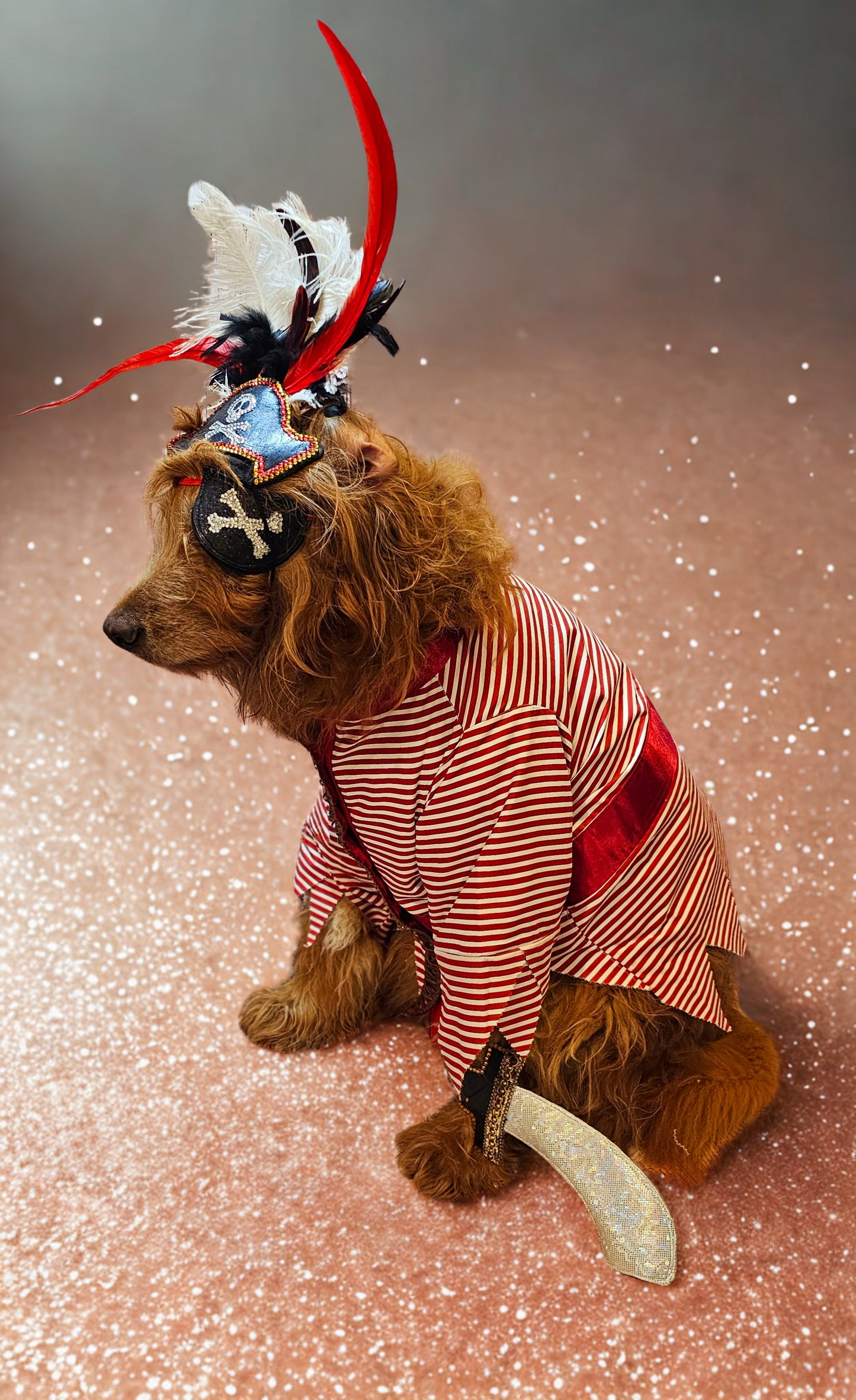 Pirate pet costume, Pirate dog Costume