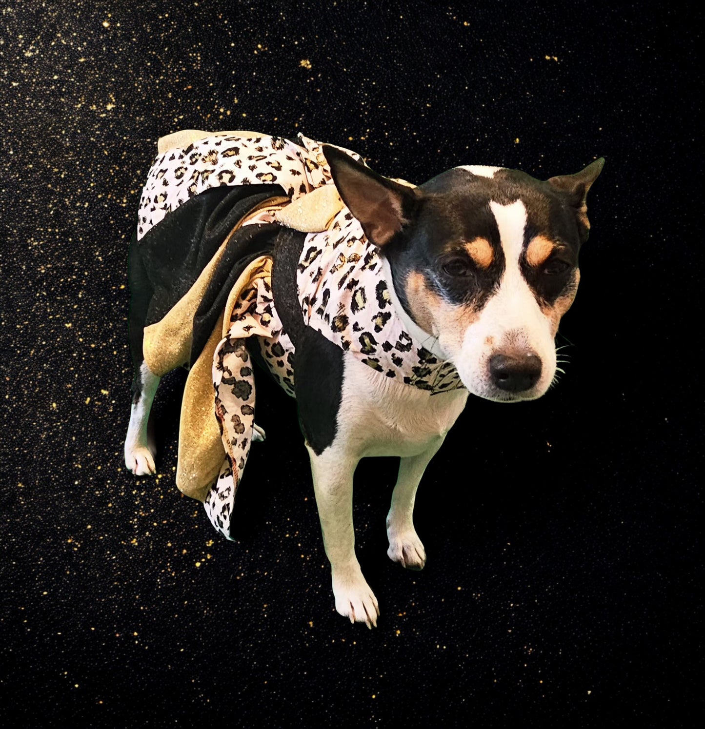 Pink leopard glitter pet dress, leopard dog dress