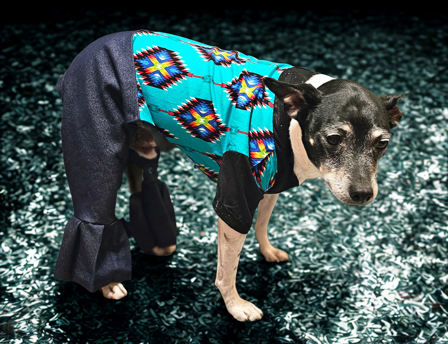 Aztec print with blue jean pet body suit, western aztecbody suit with bell bottoms