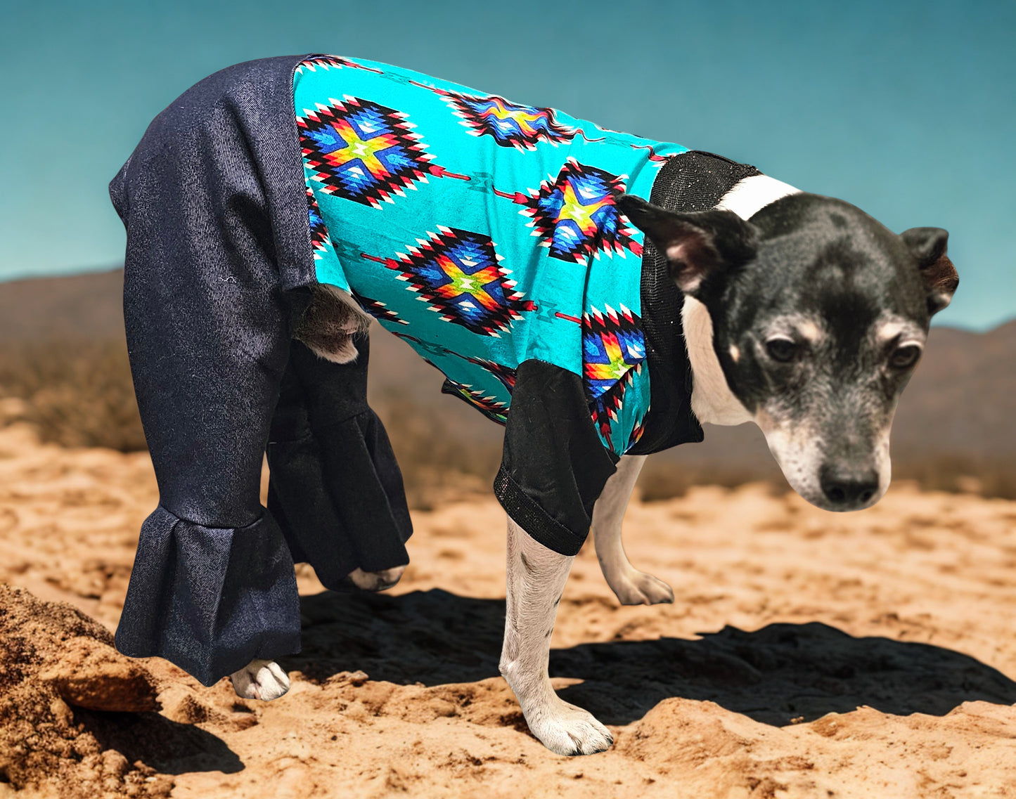 Aztec print with blue jean pet body suit, western aztecbody suit with bell bottoms