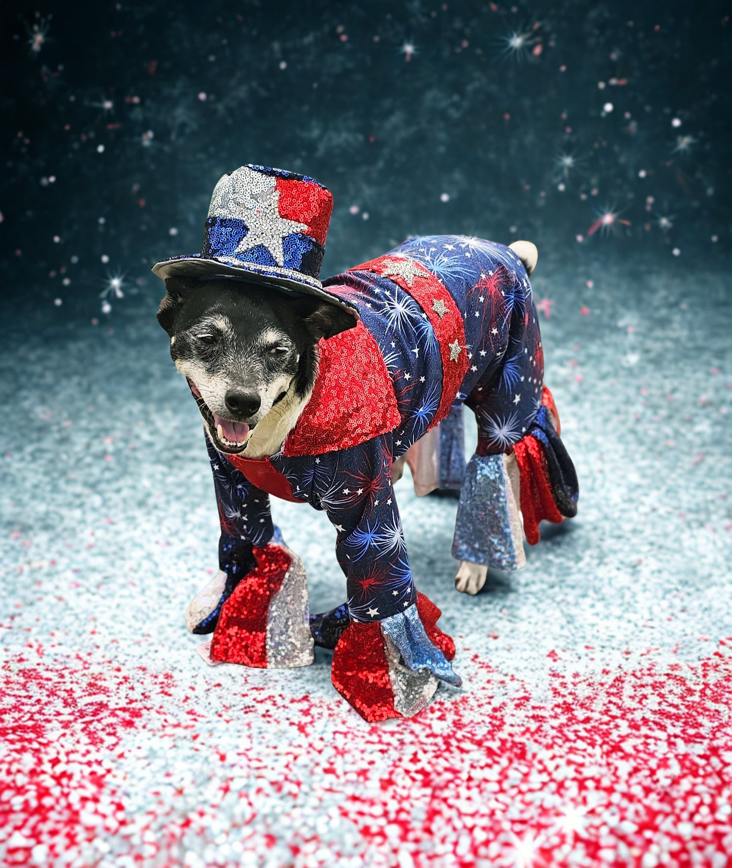 July 4th pet costume, Red, white, and blue pet costume, July 4th pet suit