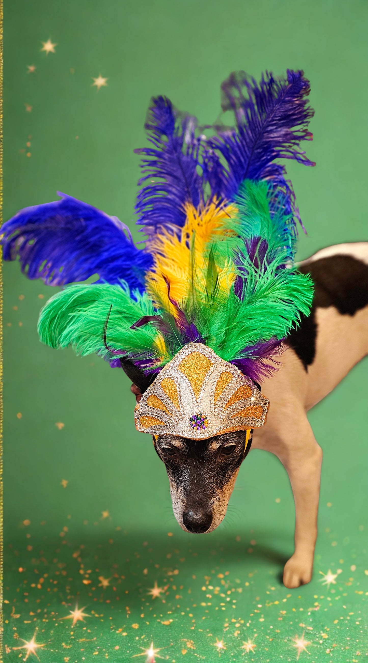 Mardi Gras pet feather showgirl headress, carnival feather pet headress