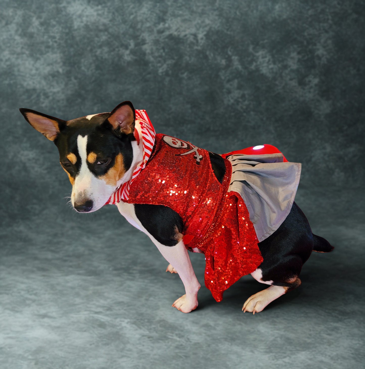 Pet Pirate female Costume, Dog Pirate Costume, Pirate pet costume, Pirate cat costume, female Pirate pet, Pirate pet dress