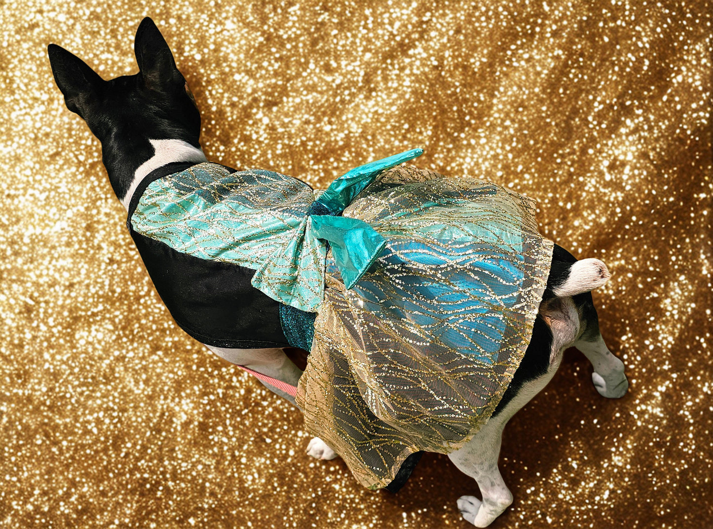 Glitter tulle special occasion pet dress, black, gold, teal pet dress