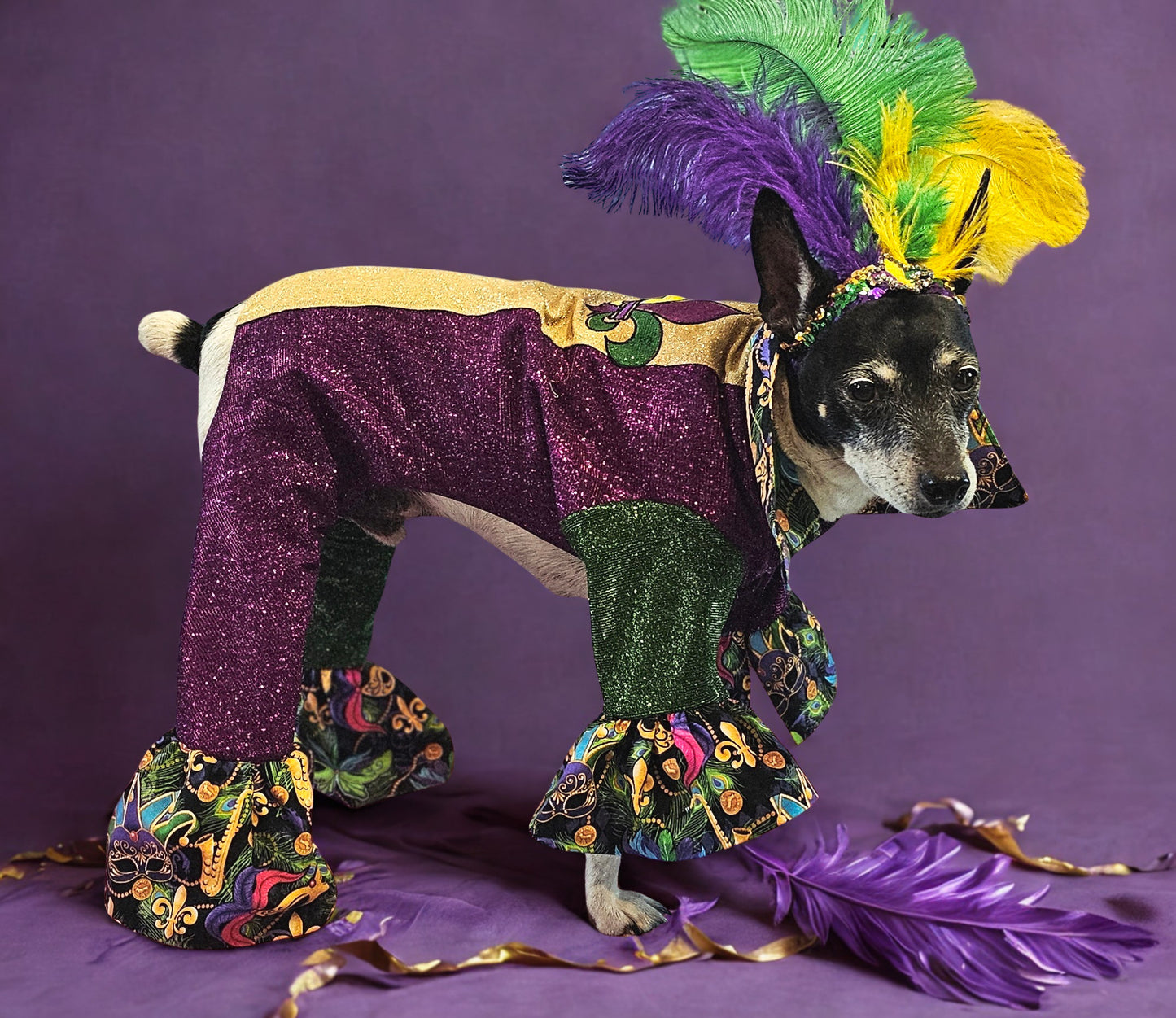 Mardi Gras pet suit, glitter Mardi Gras pet costume, Fleur De Lis pet costume