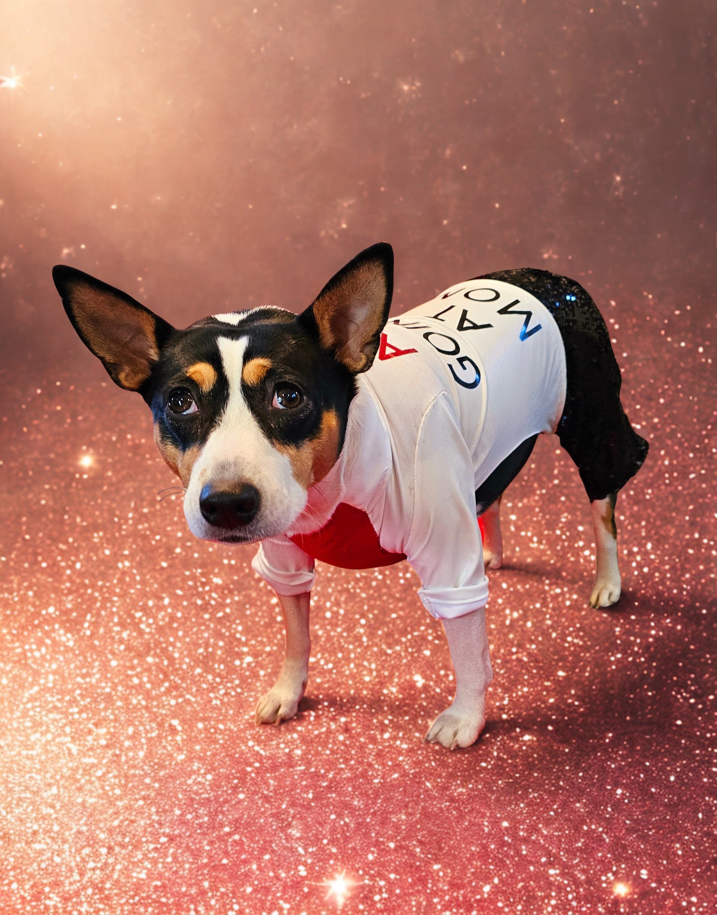 Red Era Pet Costume, red era dog costume, red era cat costume, Taylor Swift pet costume, Taylor Swift red era pet costume