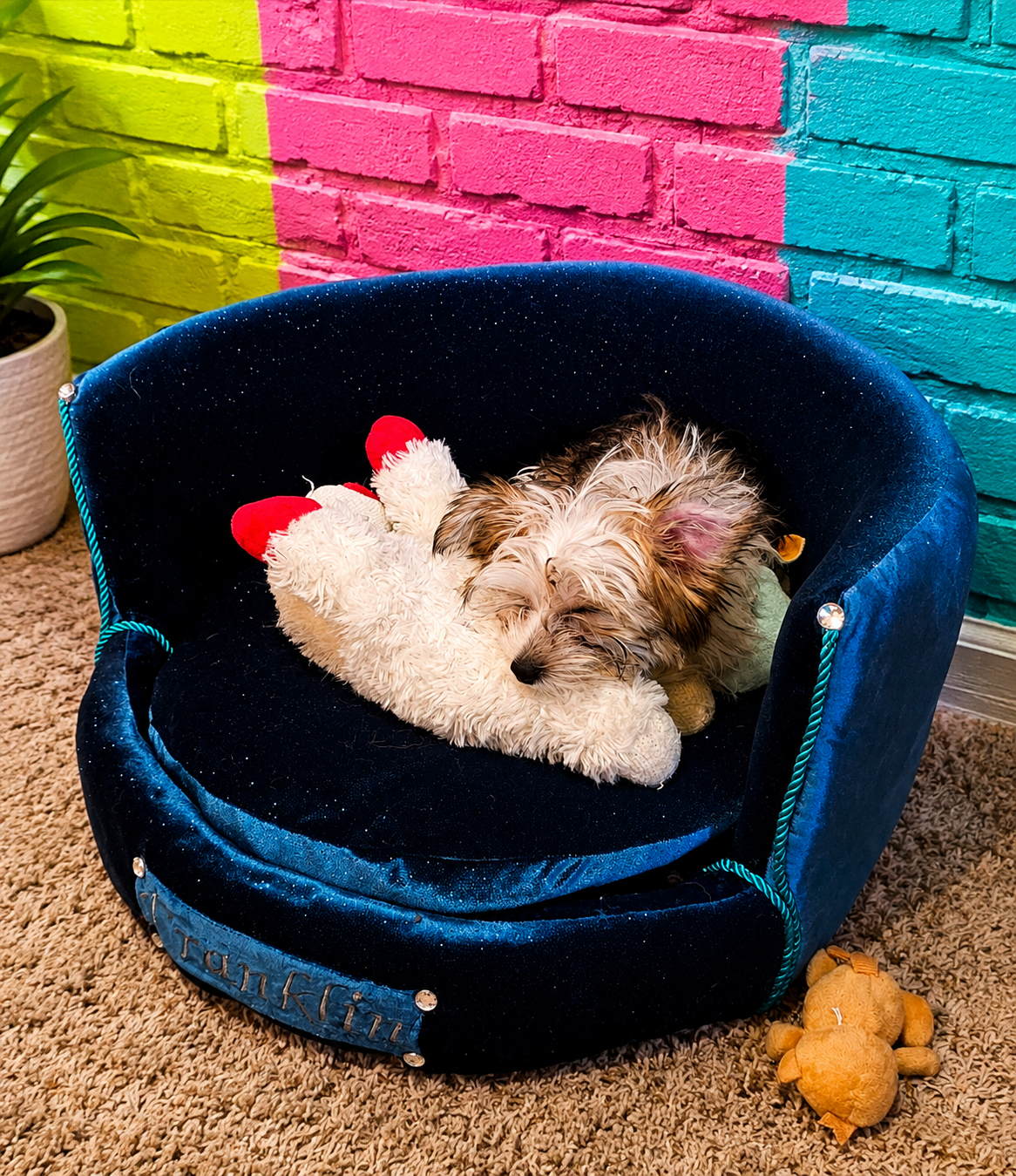 Personalized embroidered glitter round pet bed, custom dog bed