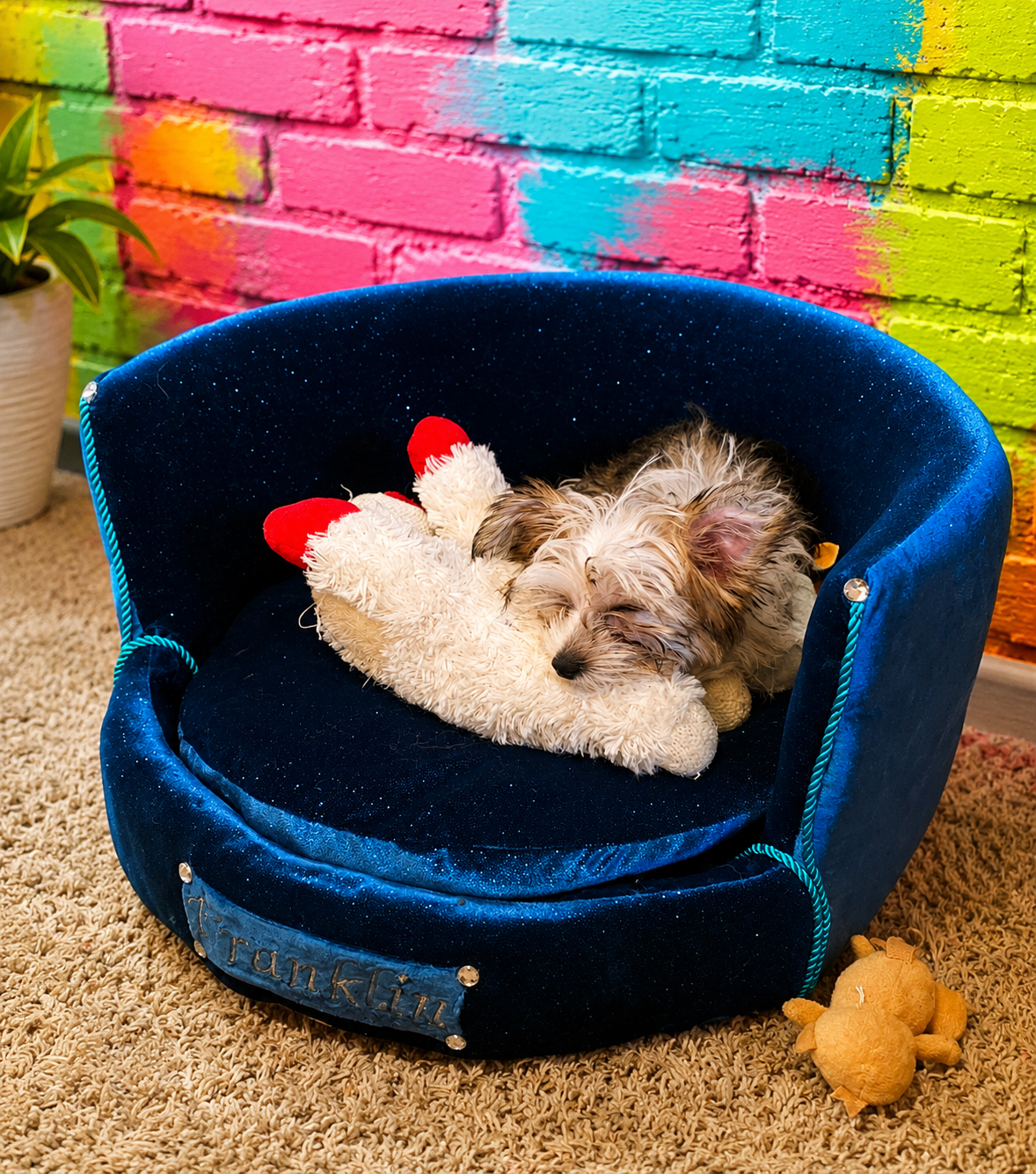 Personalized embroidered glitter round pet bed, custom dog bed