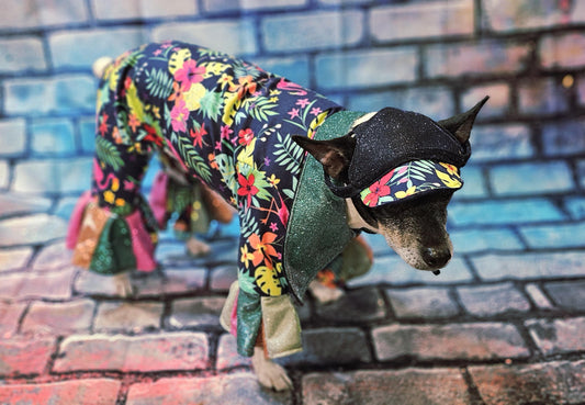 - Hawaiian pet costume, Hawaiian sequin dog costume, Tropical pet costume