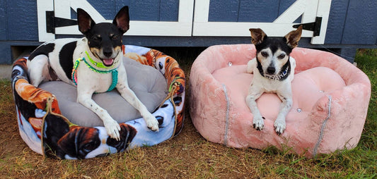 Dog Print Dog Round Pet Bed Inactive