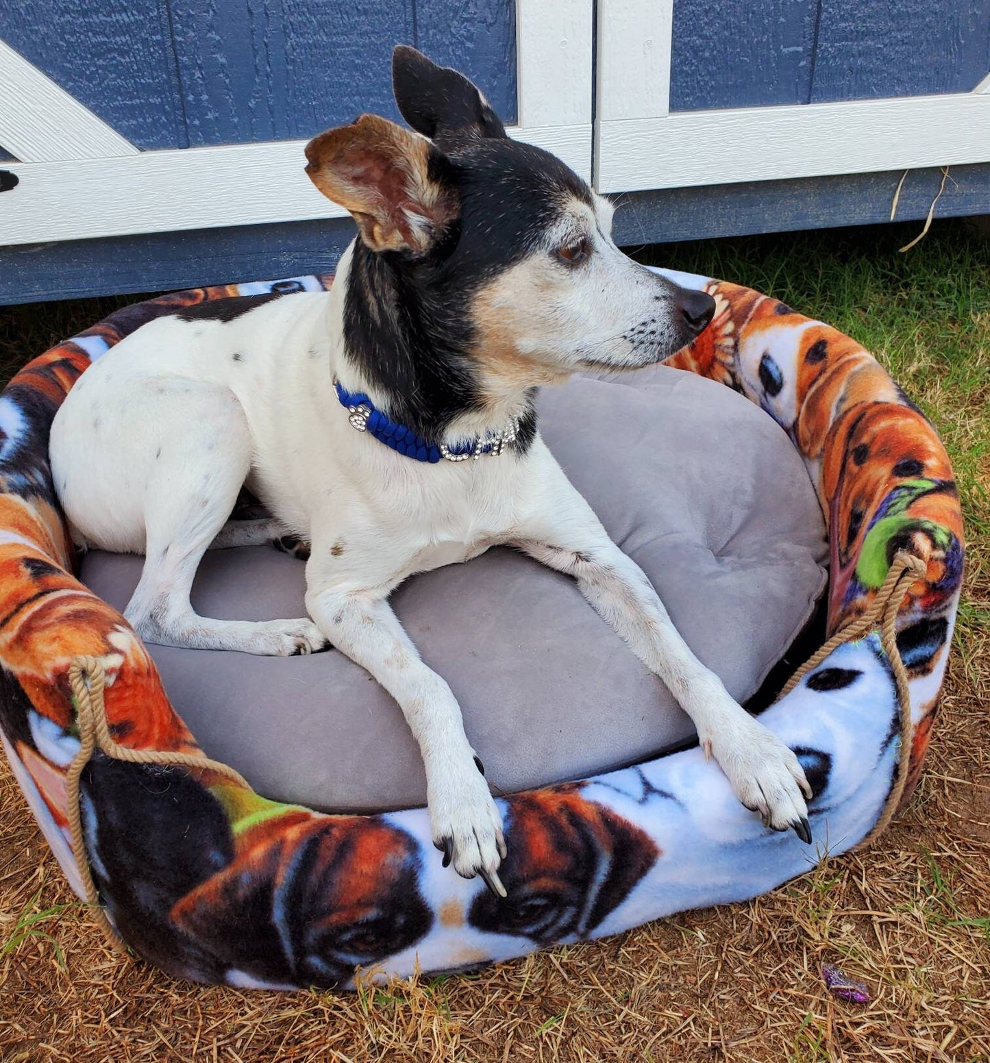Dog Print Dog Round Pet Bed Inactive