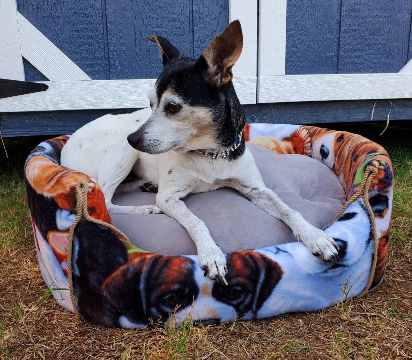 Dog Print Dog Round Pet Bed Inactive
