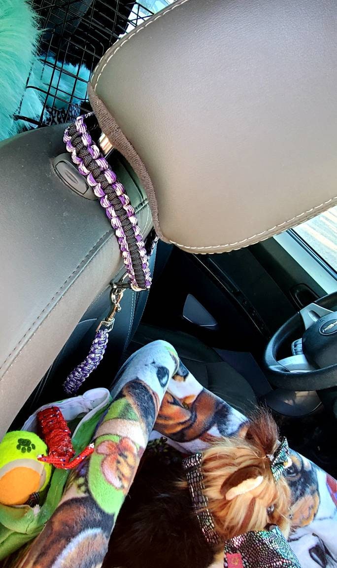 Pet, Cat, Dog Car Booster Seat/Pet Bed Dog Car Seat for Dogs Cat Car Seat