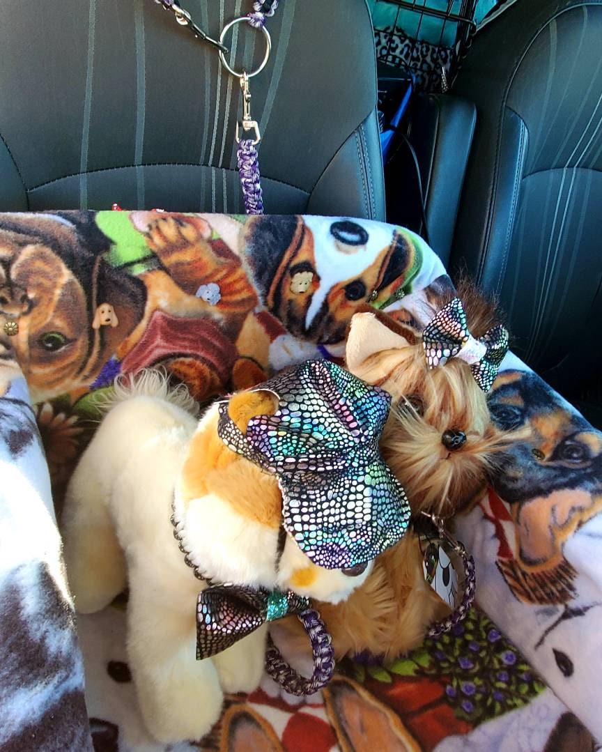 Pet, Cat, Dog Car Booster Seat/Pet Bed Dog Car Seat for Dogs Cat Car Seat