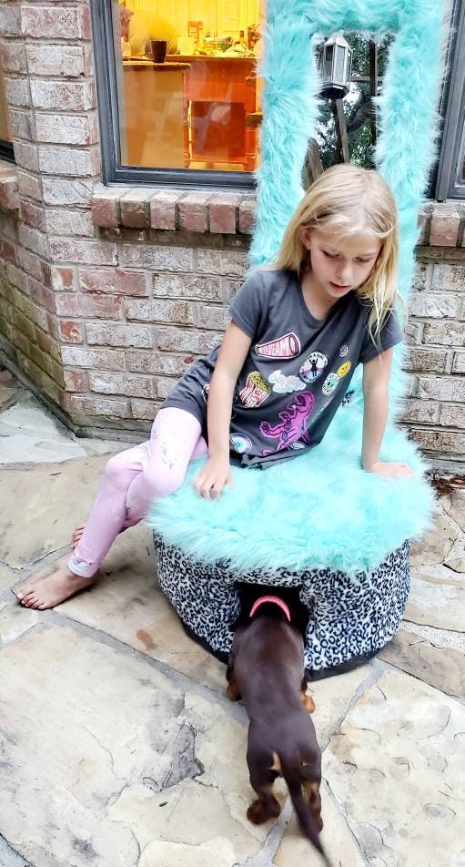 Vanity Set kids pet bed, vanity mirror pet bed, ottoman pet chair, kid chair with pet bed and vanity mirror, dog ottoman and kid chair