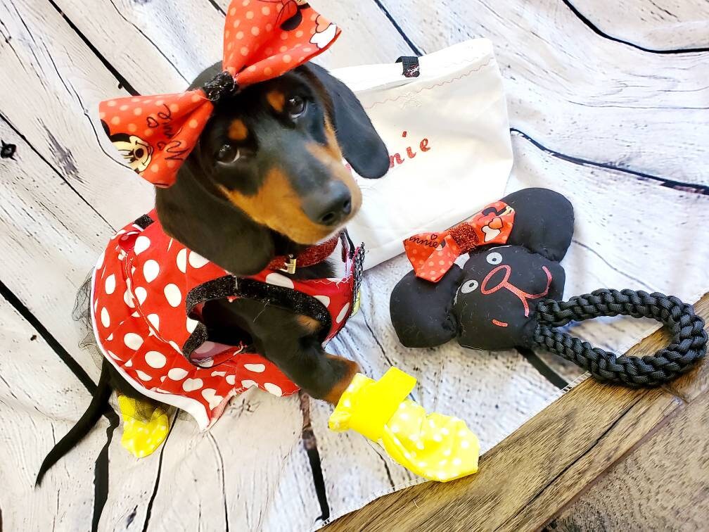 Minnie Mouse costume, Minnie Mouse costume dress, Minnie mouse cat dress costume, red polka pet dress, red polka dot dog dress