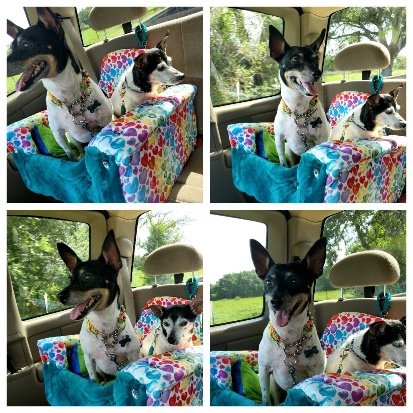 Pet Booster Seat, dog booster seat, cat booster seat, dog bed for the car, booster seat for pets, booster seat for dogs, seat belt pet seat
