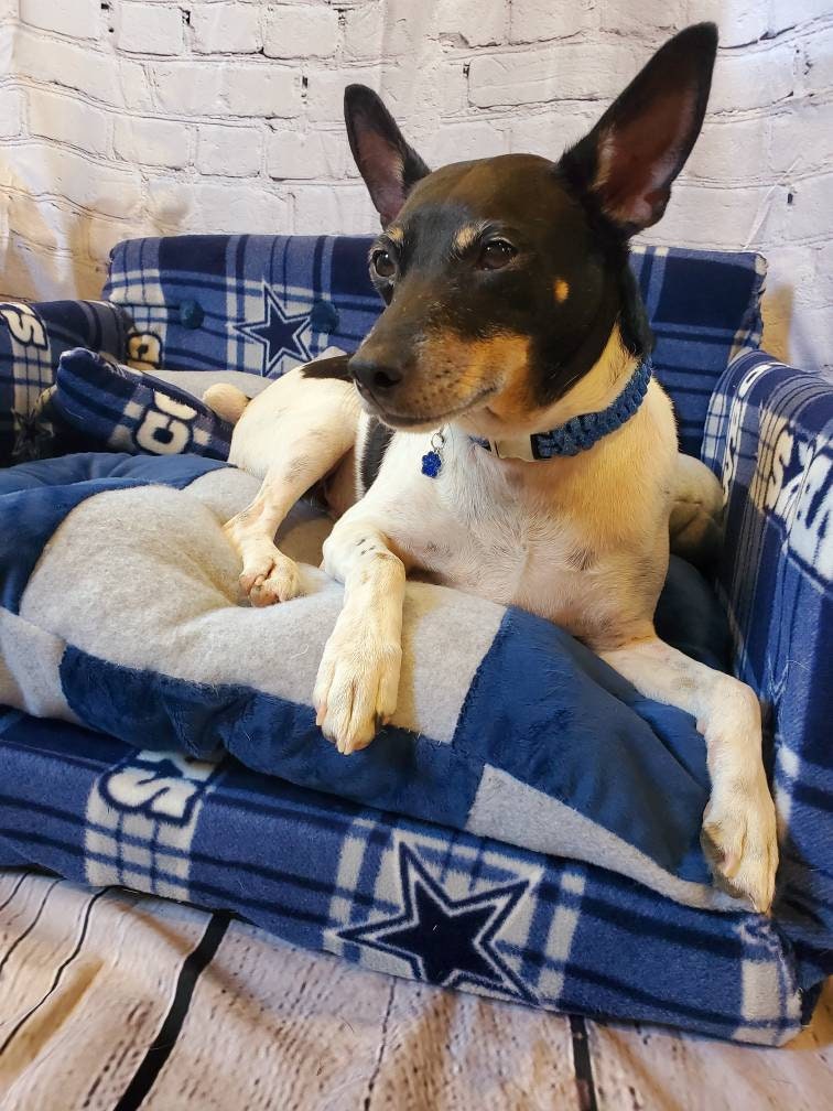 Dallas Cowboys Pet Couch, Dallas Cowboys Dog Couch, Dallas Cowboy Cat Couch, Dallas Cowboys furniture for pets, Dallas Cowboys Pet Bed