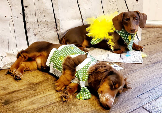 John Deere Pet apparel, John Deere pet clothing, John Deere cat, dog, pet dress, John Deere cat, dog pet shirt, John Deere cat shirt, dress