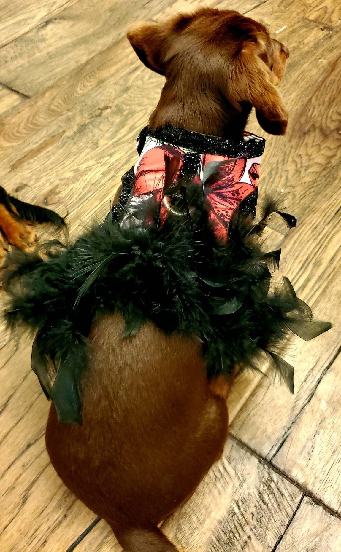 Flower Pet Harness, feather pet harness, flower feather pet jacket harness, flower dress harness, pet harness, pet dresses, dog harness