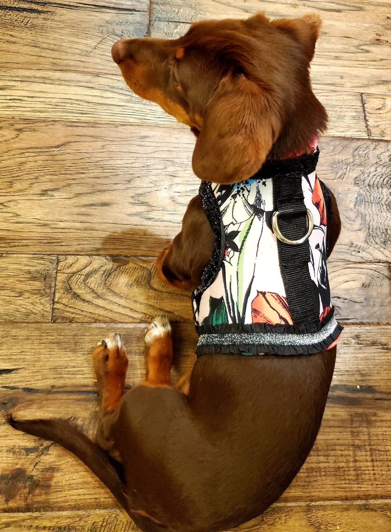 Flower Pet Harness, feather pet harness, flower feather pet jacket harness, flower dress harness, pet harness, pet dresses, dog harness