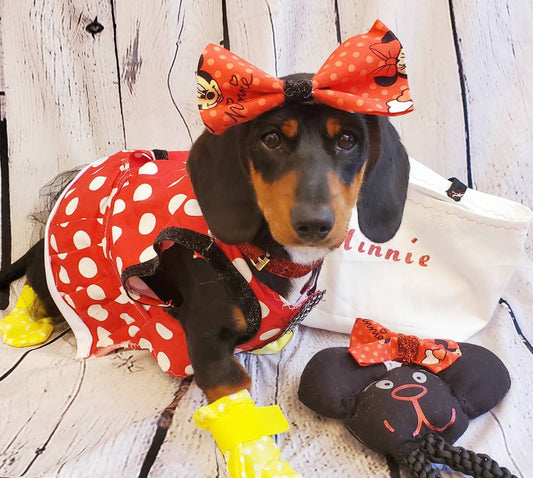 Minnie Mouse costume, Minnie Mouse costume dress, Minnie mouse cat dress costume, red polka pet dress, red polka dot dog dress