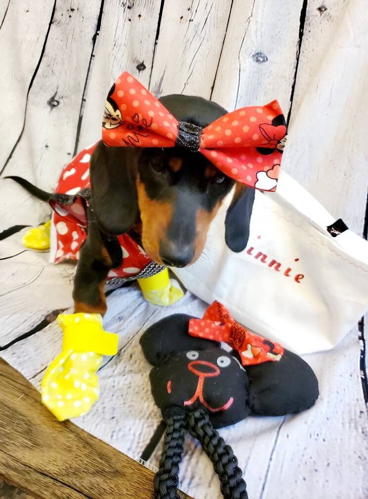 Minnie Mouse costume, Minnie Mouse costume dress, Minnie mouse cat dress costume, red polka pet dress, red polka dot dog dress