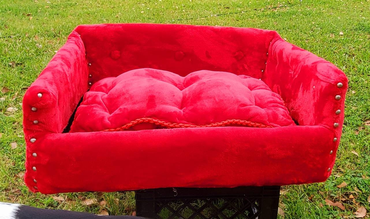 Luxury Pet Couch, dog couch, cat couch, pet furniture, blue, red, black, pink, white, pet couch, dog bed, cat bed, pet bed, dog bed