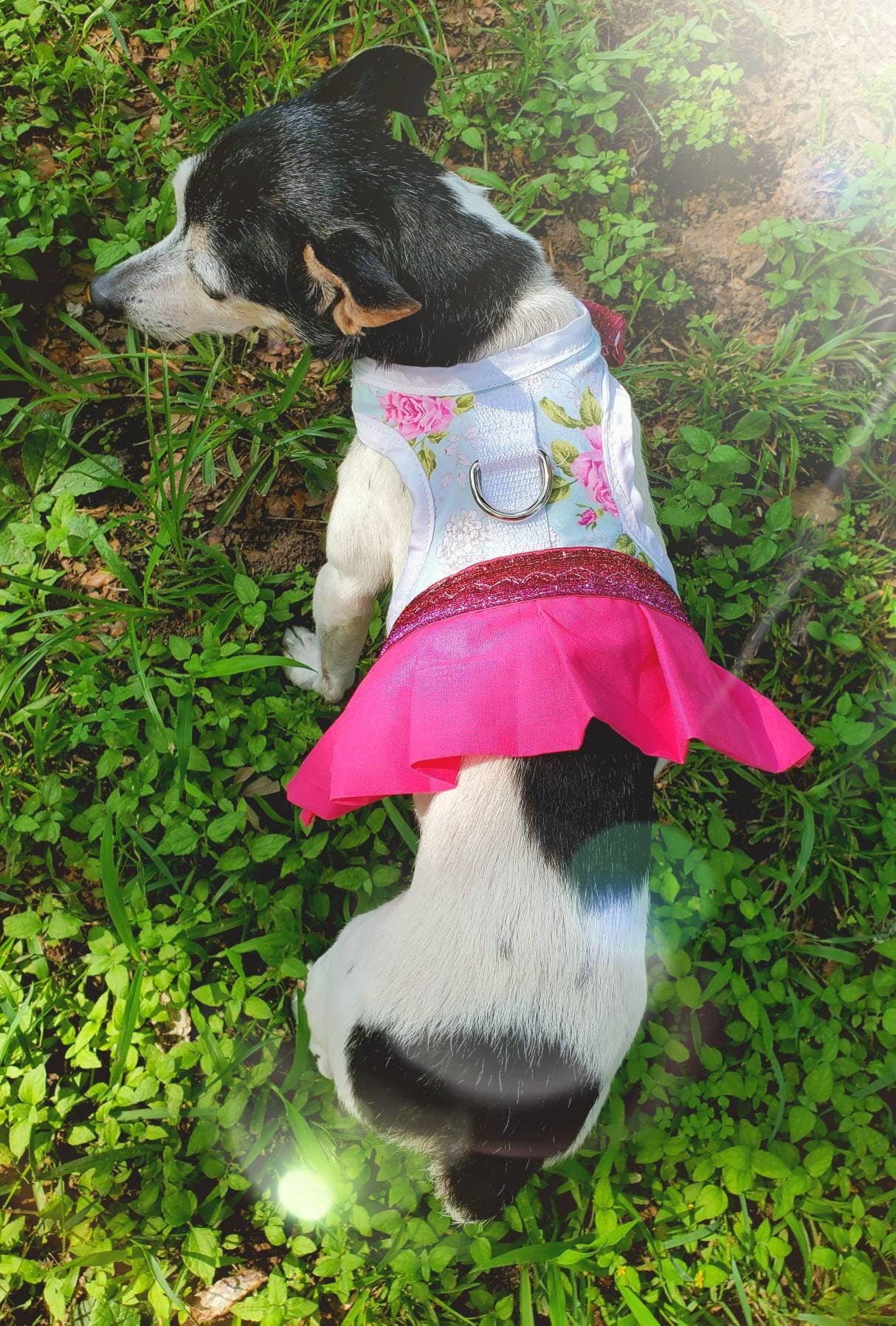 Dress pet harness, dress dog harness, dress cat harness, flower pink harness, fushia dress harness, pink pet dress, flower Pet dress,