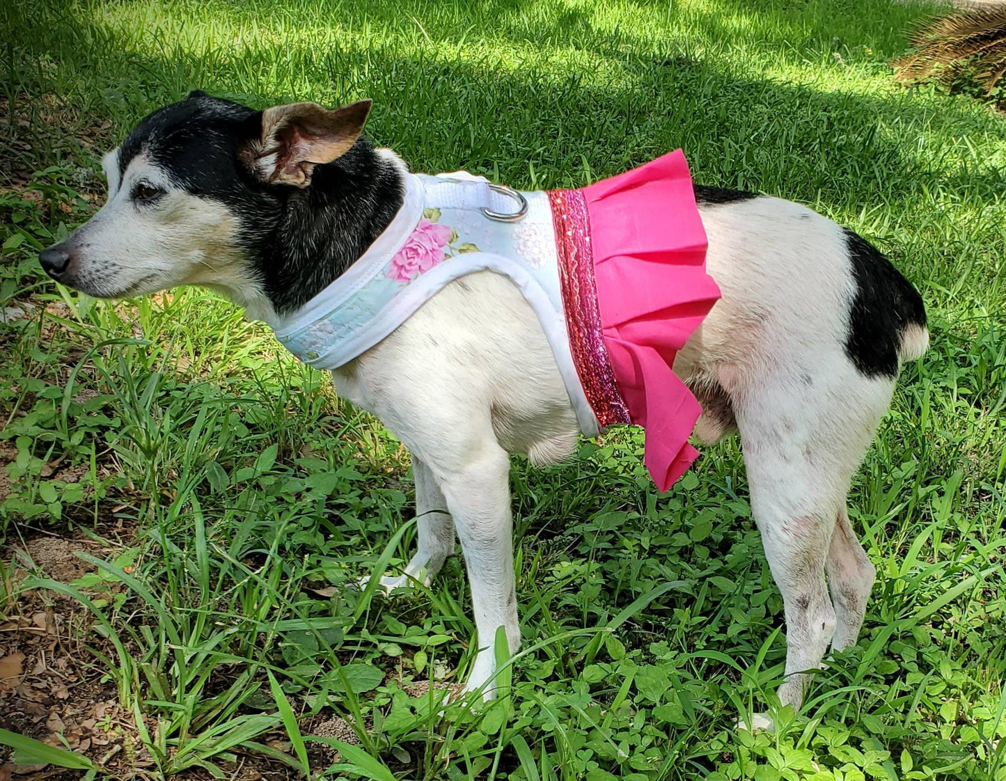 Dress pet harness, dress dog harness, dress cat harness, flower pink harness, fushia dress harness, pink pet dress, flower Pet dress,