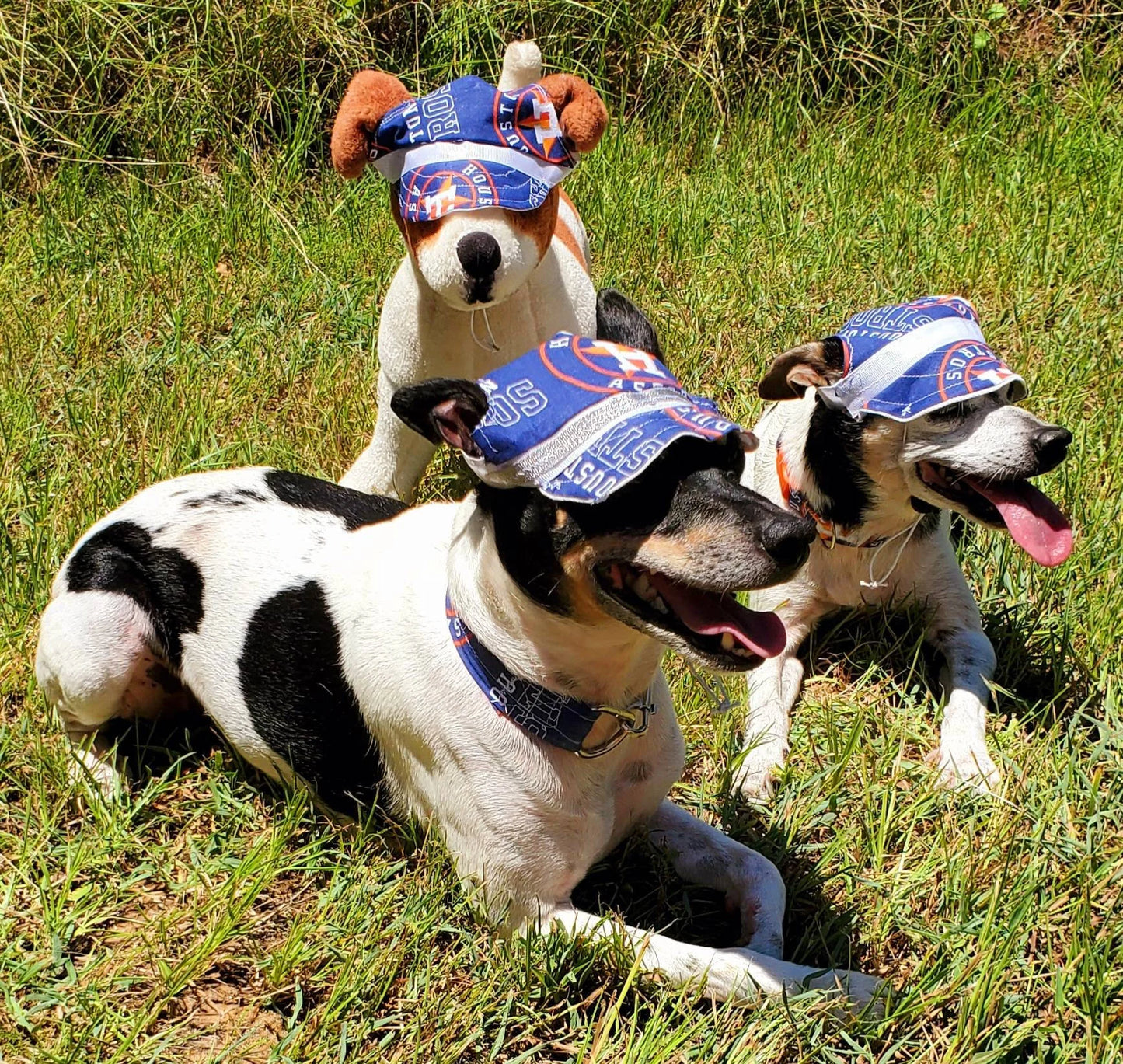 Houston Astro Pet Hat, Astros dog hat, Astros cat hat, Astros Pet cap, Houston Astro Pet apparel,  Astro Pet clothes, Pet Hats, Sports Hat
