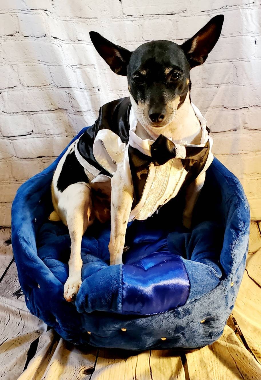 Round prince bed, luxury pet bed, diamond arclic luxury dog bed, Round bed with legs, cat dog pet bed, blue Round pet bed,