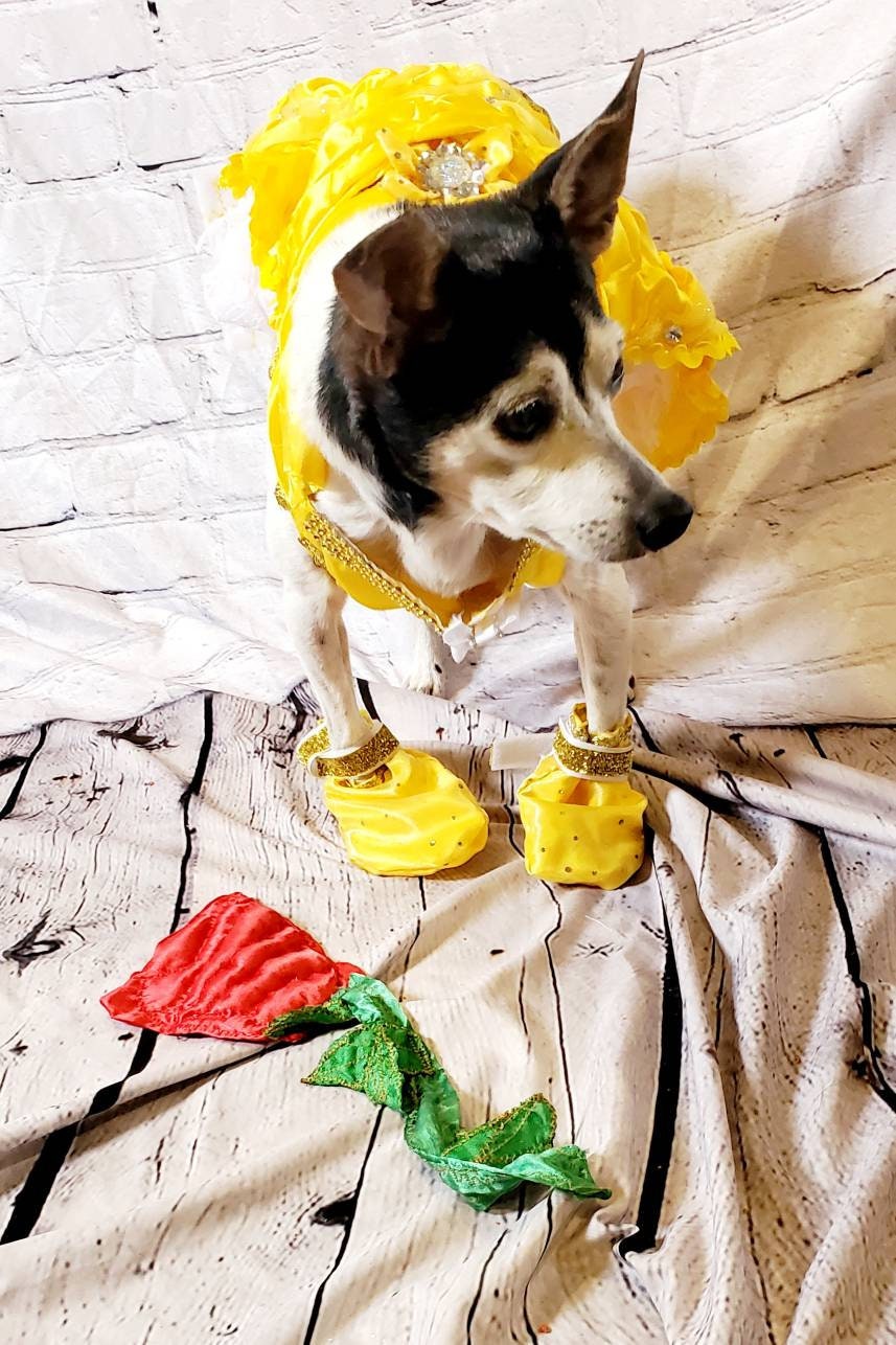 Pet Belle Costume, Beauty and the Beast Pet Costume, Belle dog costume, Belle cat costume, Disney princess Pet, Halloween Pet costume