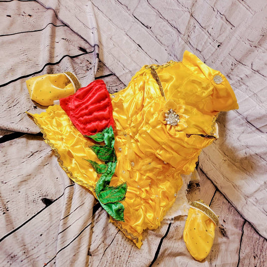Pet Belle Costume, Beauty and the Beast Pet Costume, Belle dog costume, Belle cat costume, Disney princess Pet, Halloween Pet costume