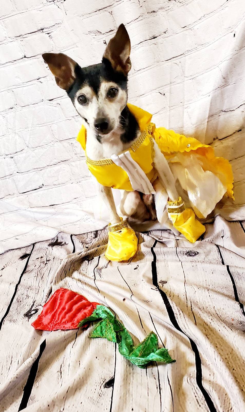 Pet Belle Costume, Beauty and the Beast Pet Costume, Belle dog costume, Belle cat costume, Disney princess Pet, Halloween Pet costume