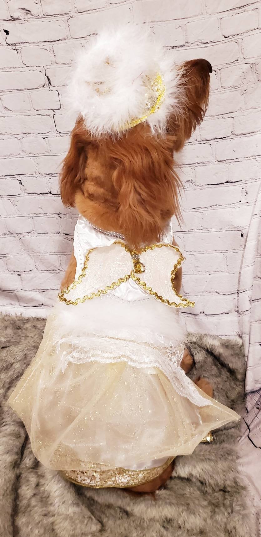 Pet Angel Pet Costume, Angel Pet Harness, Angel dog Costume, Angel Cat Costume, Halloween Angel Costume, Halloween Pet Costume