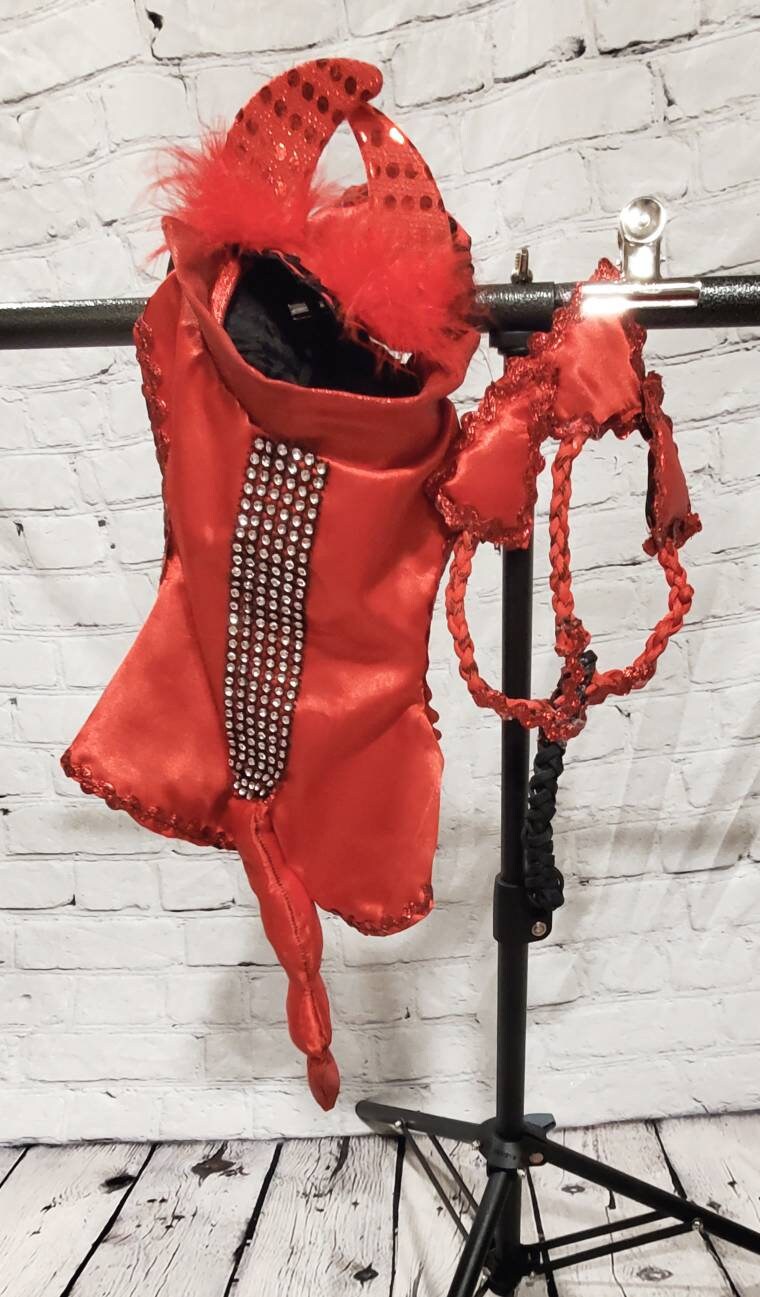 Devil male Pet Costume, Devil Pet Harness, Devil dog Costume, Devil Cat Costume, Halloween Devil Costume, Halloween Pet Costume, Diablo Pet