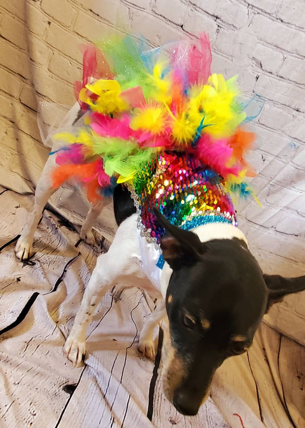 Unicorn Pet Light Up Costume, Sequin Dog Unicorn Costume, Light up pet costume, Light up cat costume, Light up dog costume, rainbow Unicorn pet
