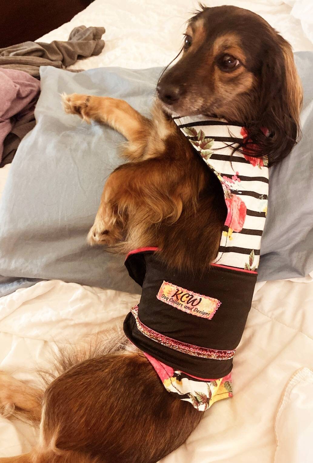 Pet Thunder Shirt, Pet anxiety jacket, decorative Pet thunder shirt, dog thunder jacket, cat thunder shirt, pet wrap anxiety, flower thunder