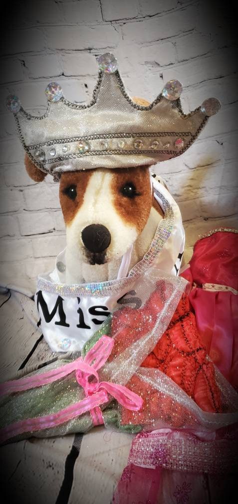 Miss America Pet Costume, Pagent Pet Costume, Princess Pet Costume, Miss America Dog Costume, Cat Costume, Princess Dog Dress, Queen Pet