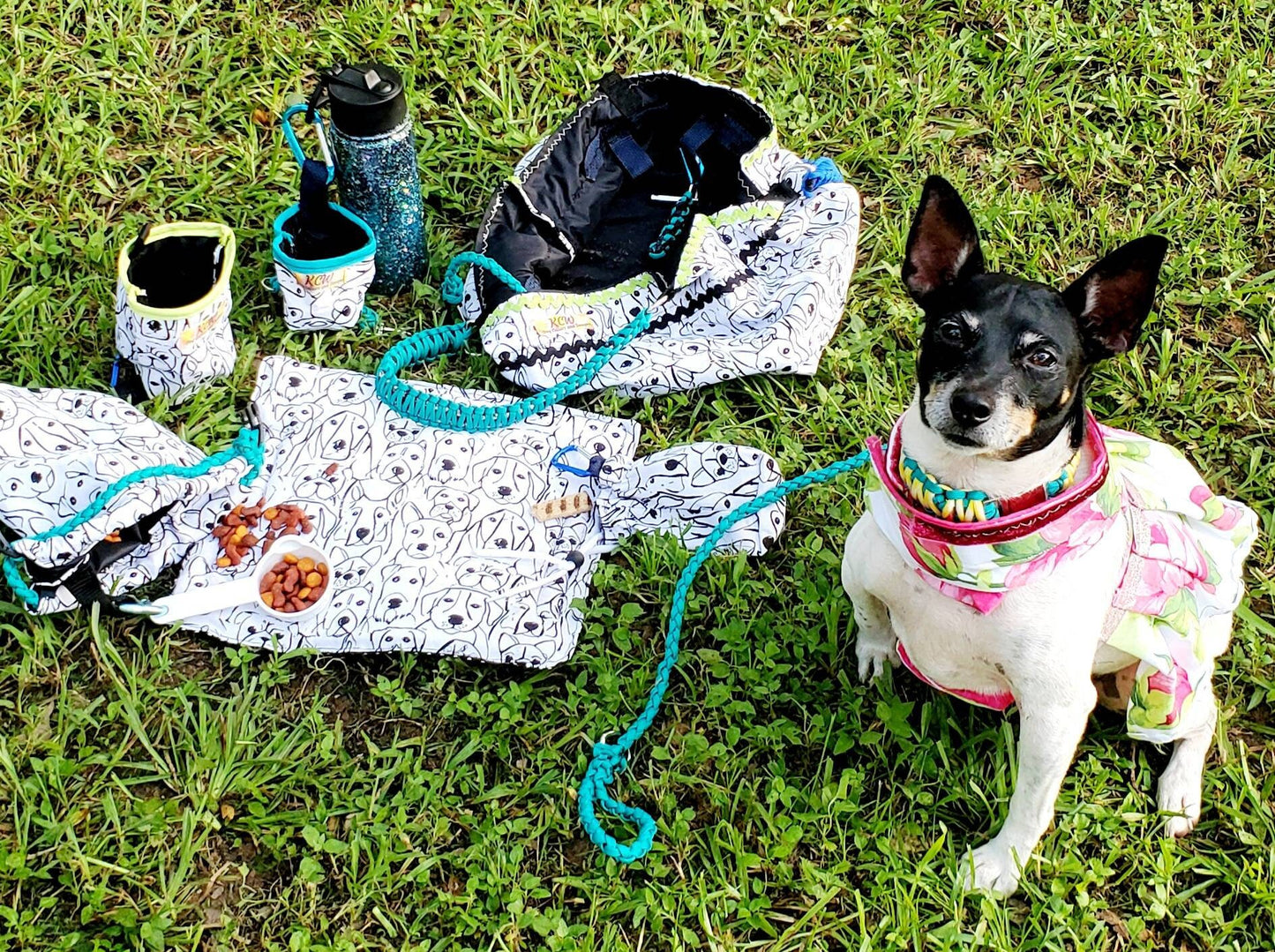 Pet Travel bag, pet carrier, Pet food bag, Pet cloth, food, water bowl, walking bag, leash holder, dog travel bag, Pet carrier, Cat travel