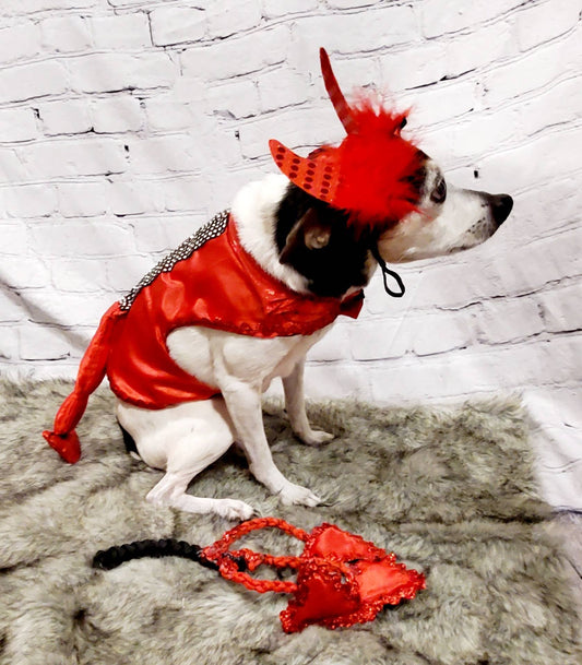 Devil male Pet Costume, Devil Pet Harness, Devil dog Costume, Devil Cat Costume, Halloween Devil Costume, Halloween Pet Costume, Diablo Pet