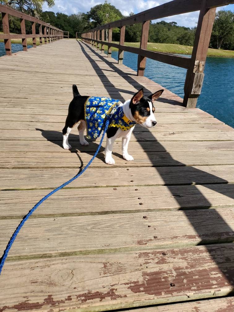 Pet fancy dress with d ring, harness dress, harness with a long skirt, cat, dog, pet dress harness, flower pet harness dress