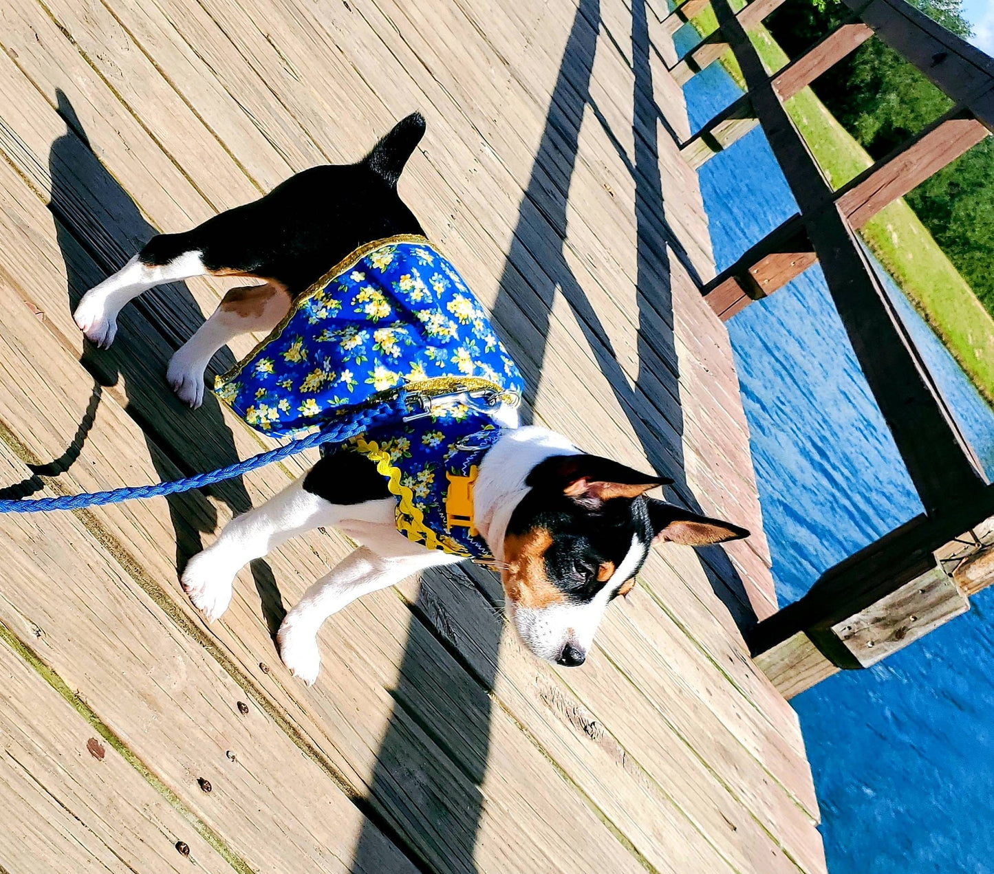 Pet fancy dress with d ring, harness dress, harness with a long skirt, cat, dog, pet dress harness, flower pet harness dress