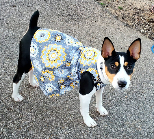Flower Burst pet dress, flower Pet dress, flower cat dress, flower dog dress, dress collar combo, matching dress, dog sundress