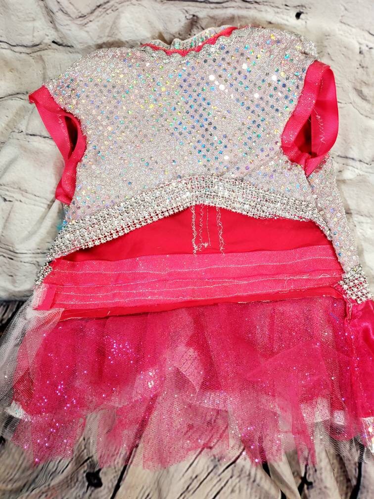 Irradescent hot pink pet dress, Disco pet dress, silver pet dress, princess pet dress, princess dog dress, pink dog cat dress